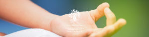 Alma Yogatherapeute Naturopathe Ramonville 31